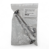 Original Detroit Diesel Ventilsatz #5197176 NSN...